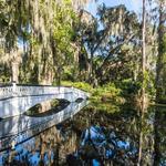 Magnolia Plantation and Gardens