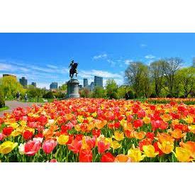George Washington Statue at the Boston Public Garden.