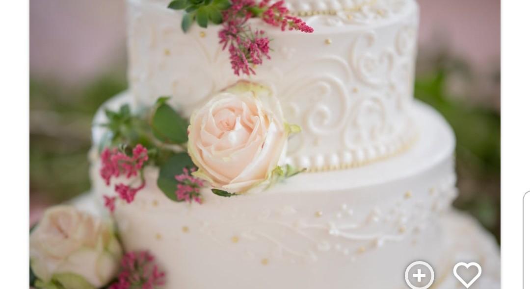 The Wedding Website of Tanya Green and Maurice Cameron