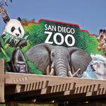 San Diego Zoo
