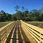 Explore Marsh Island Park