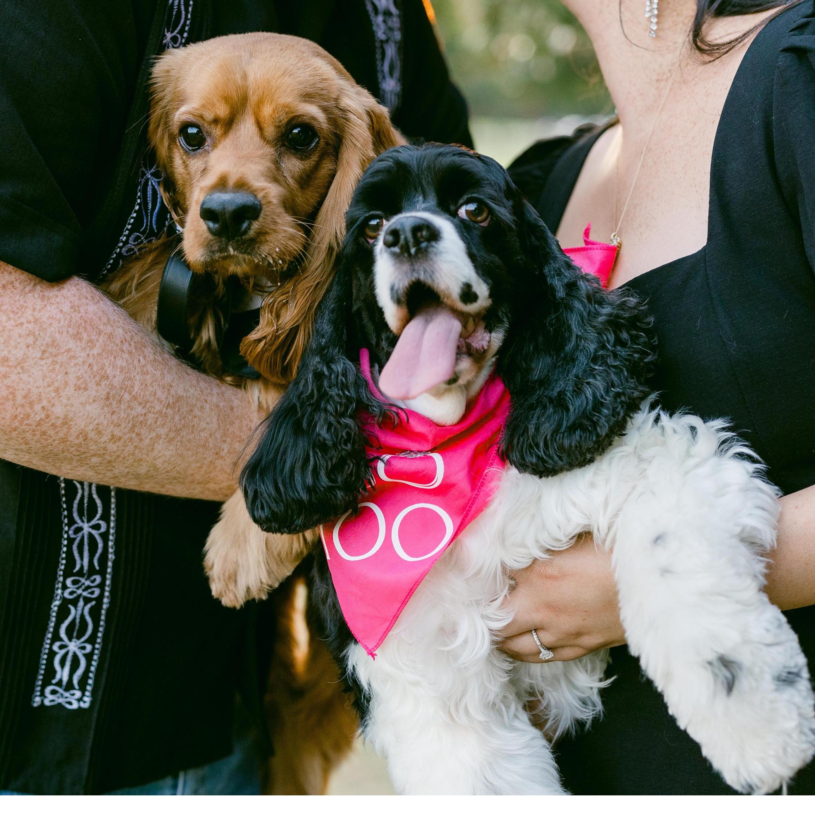 Emma Luna & Oscar Mayhem - The Stars of the Show!