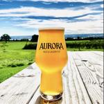 Aurora Brewing Company