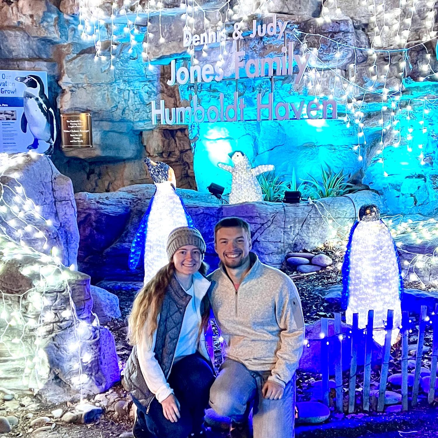 STL Zoo Christmas Lights