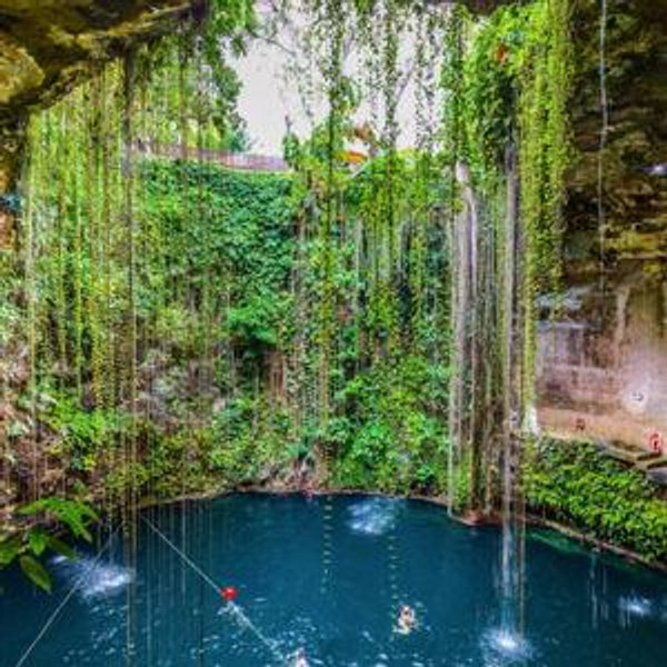 Cenote Tour + Buggy / ATV Jungle Adventure + Zipline