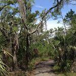 Skidaway Island State Park