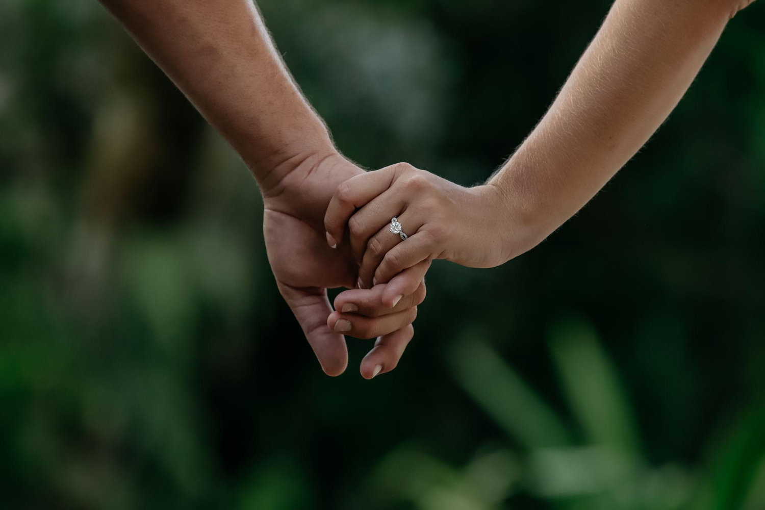 The Wedding Website of Lauren Noell and Kenneth Hawley