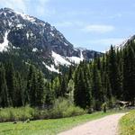 Bear Creek Trail