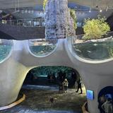 Seattle Aquarium