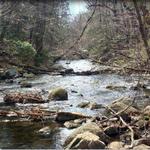 Mianus River Park