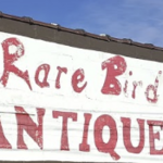Rare Bird Antiques