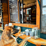 Bakeries & Coffee Shops