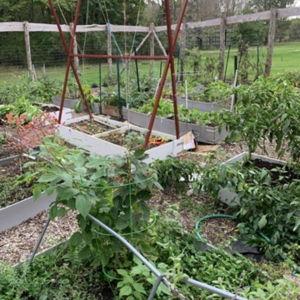 Laying the Foundation