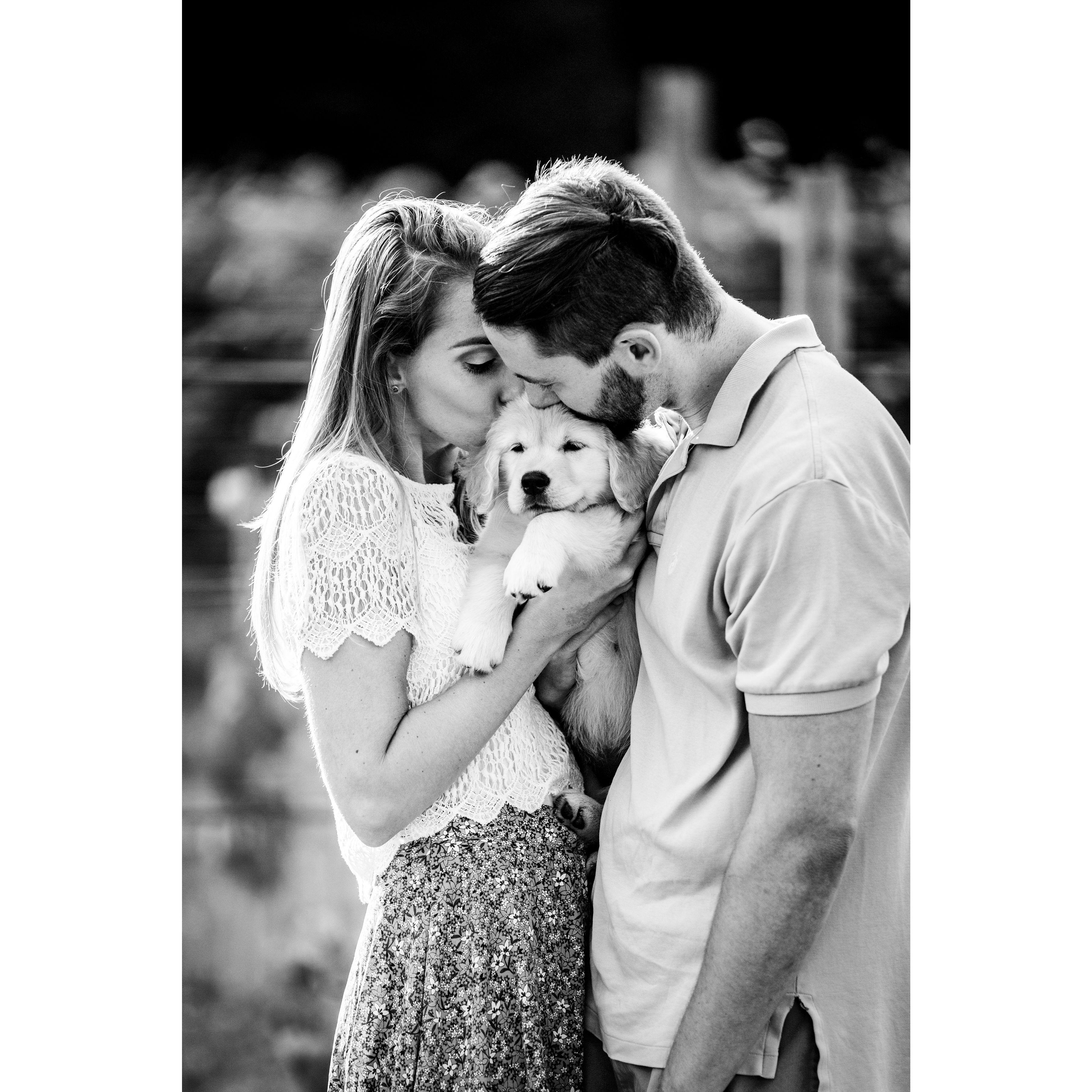 Yoshi getting kisses from Mom and Dad.