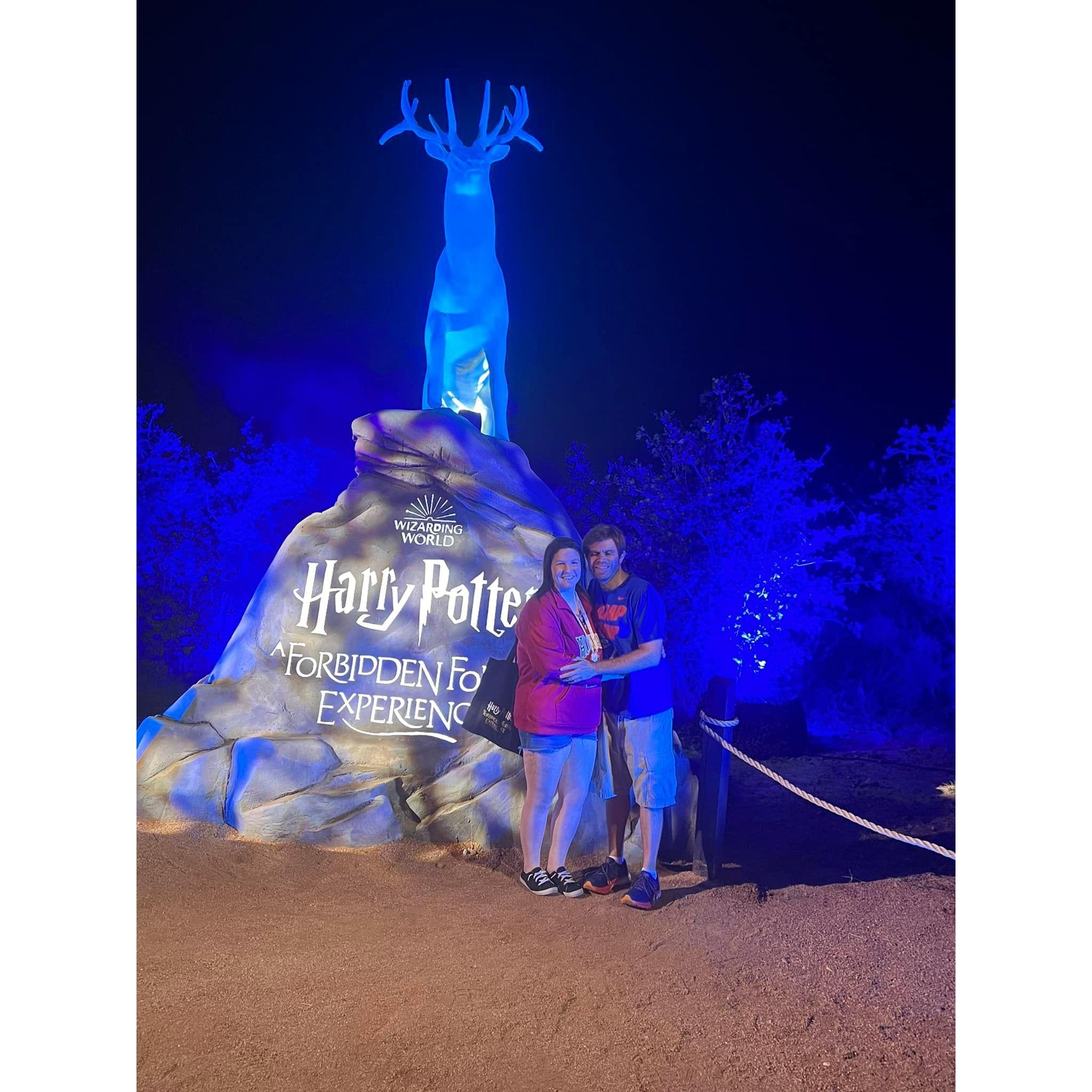 Harry Potter A Forbidden Forest Experience