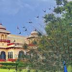 Rambagh Palace - Jaipur