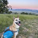 Pleasanton Ridge Regional Park