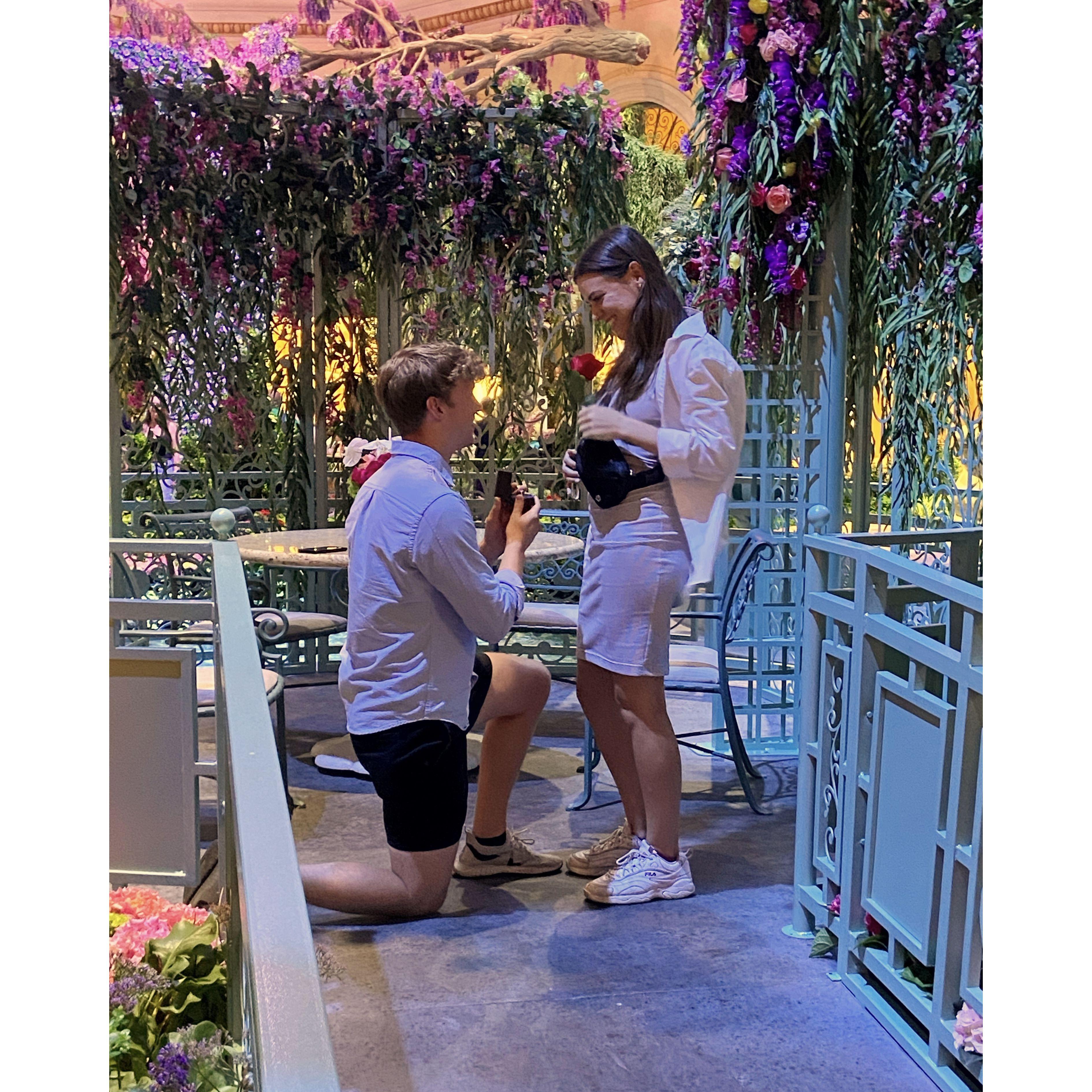 Jonathan's surprise proposal in Las Vegas was a smashing success