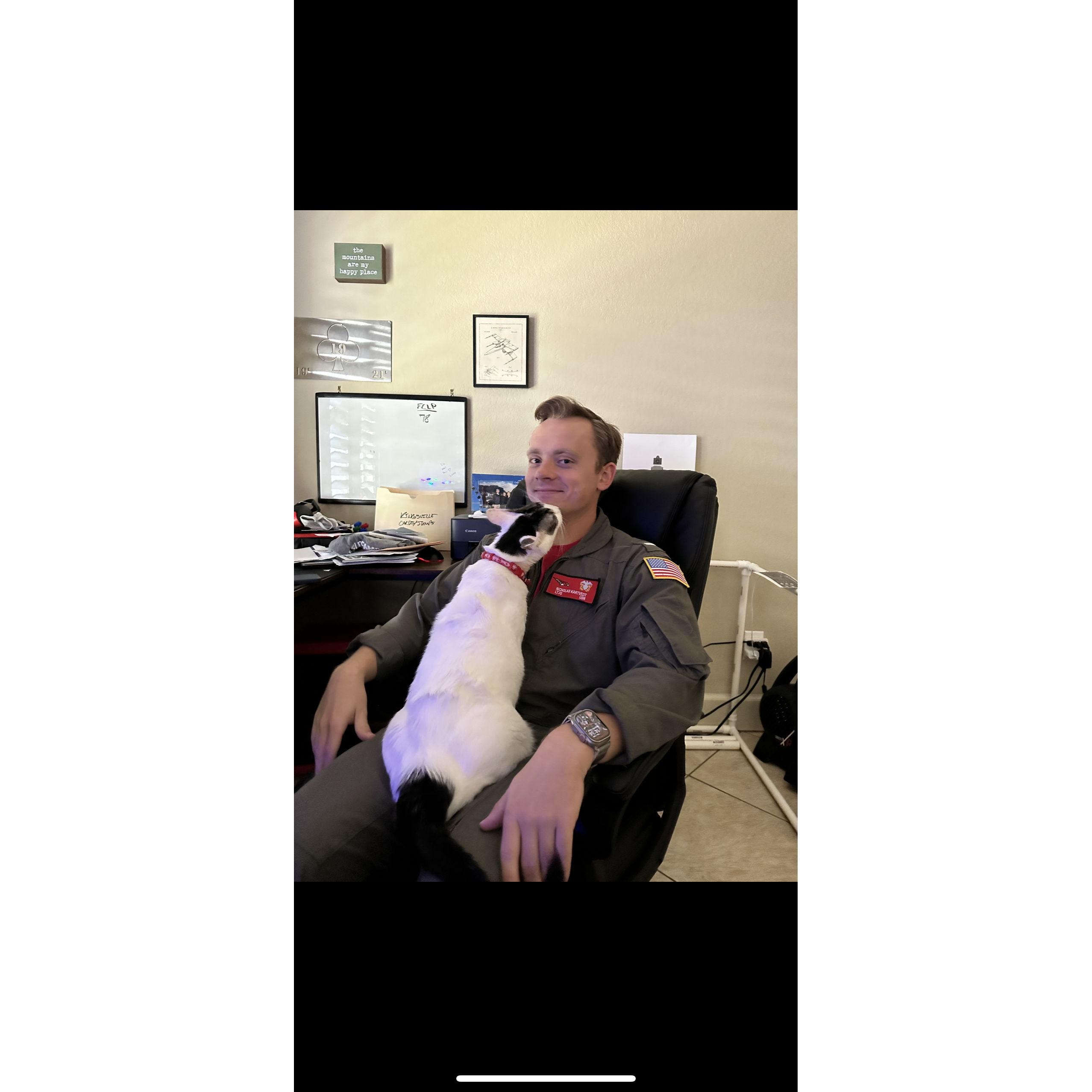 When I tell you our cats are obsessed with nick... i mean it