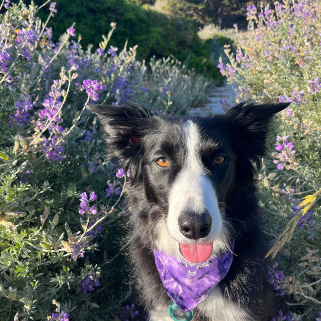 Winnie Treat Fund