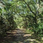 Spruce Creek Reserve Park