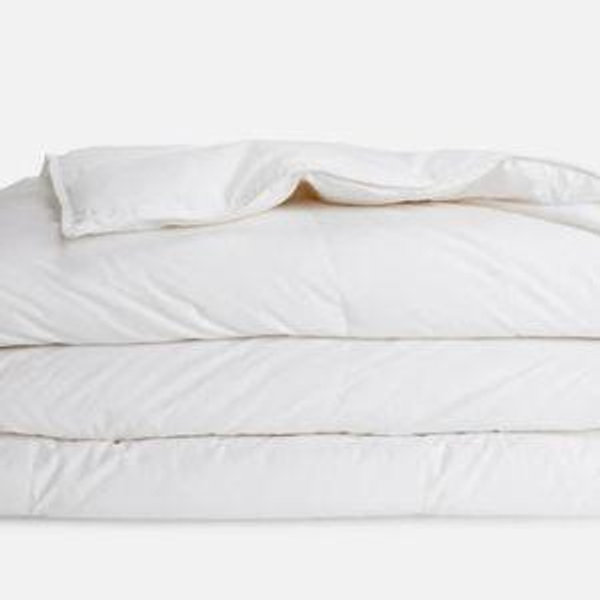 Down Comforter - Queen, All-Season