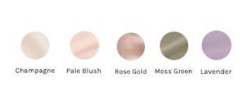 The Wedding Website of Tingting Zeng and Vincent Wen