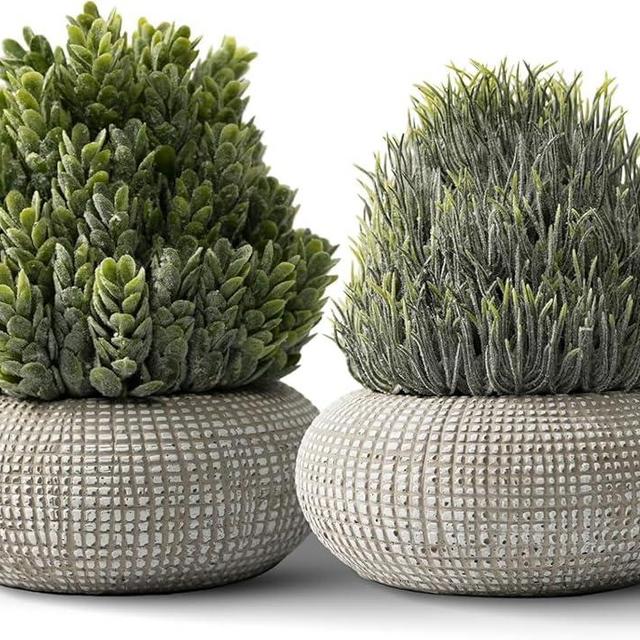 PENGYEE 2Pack Small Fake Plants 6.1/5.7 Inch, Artificial Plants Indoor in Cement Planter, Faux Plants Indoor for Room Bathroom Bedroom Kitchen Office Home Decor