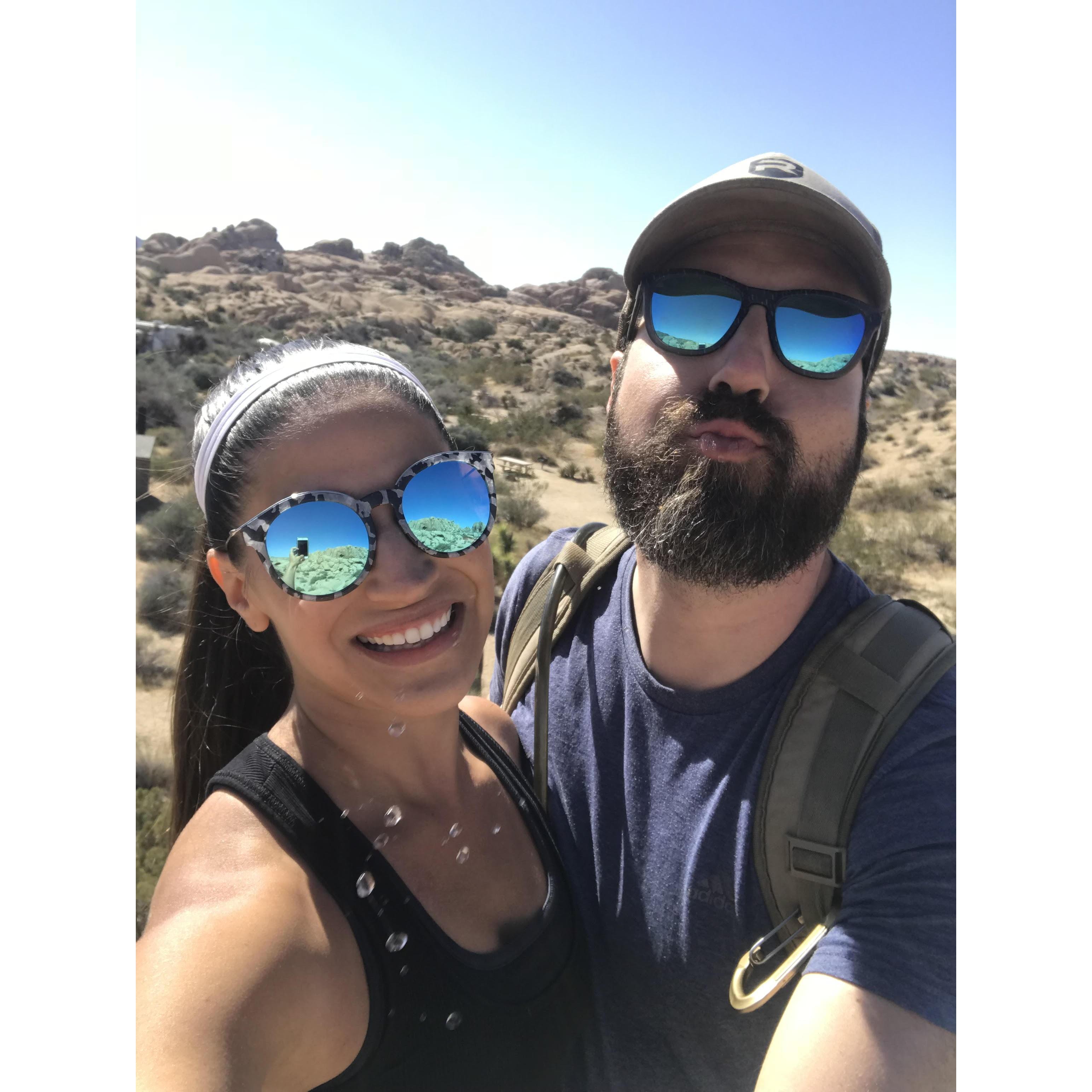 Joshua tree for Laura's birthday