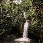 El Yunque National Forest