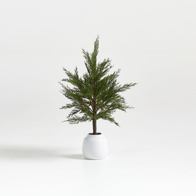 Faux Potted Cypress Tree 24"