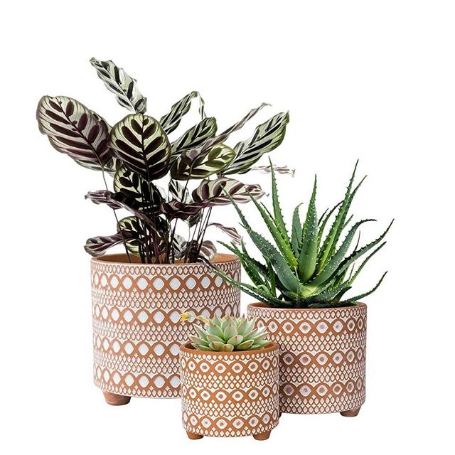 Set of 3 Terracotta Planter Pots, 4 Inch & 6 Inch & 8 Inch, Modern Design Plants Pot with Drainage Hole, Terracotta/White, 35-953-B-1