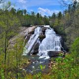 Dupont State Recreational Forest