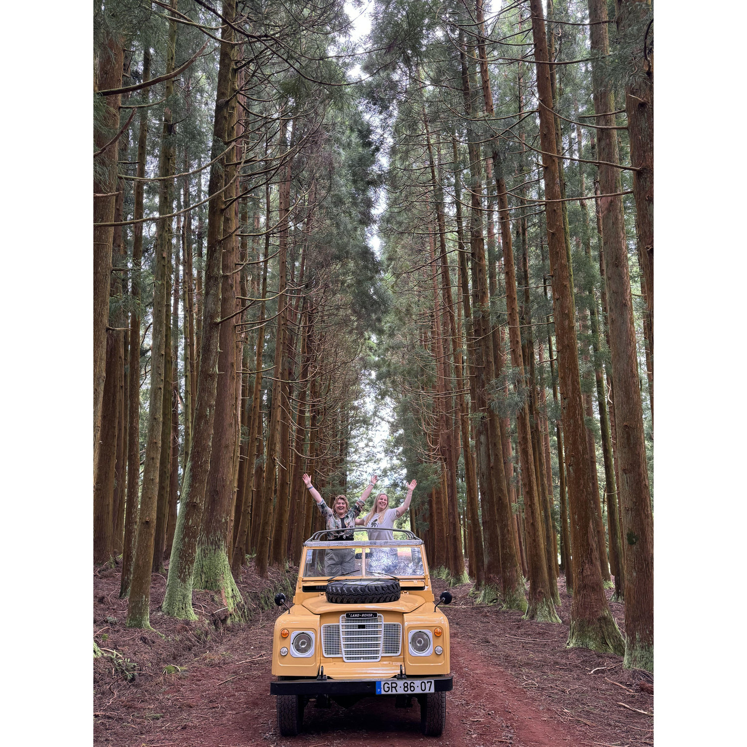 Taking a tour of the forest on Terceira Island in the Azores