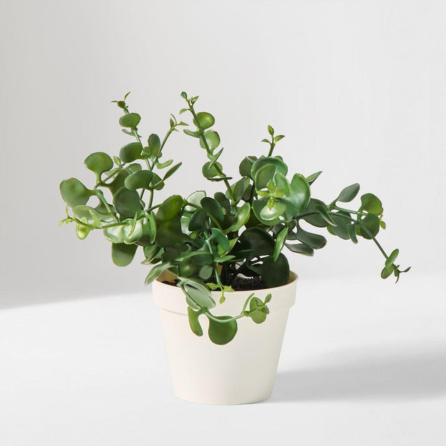 Eucalyptus Plant, Potted, Faux Green, 11"