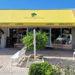 The Lemon Tree