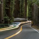 Richardson Grove State Park