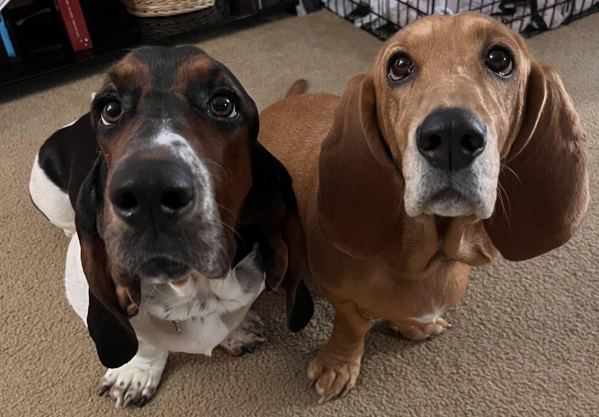 The Wedding Website of Leah Morningstar and Parker Ward