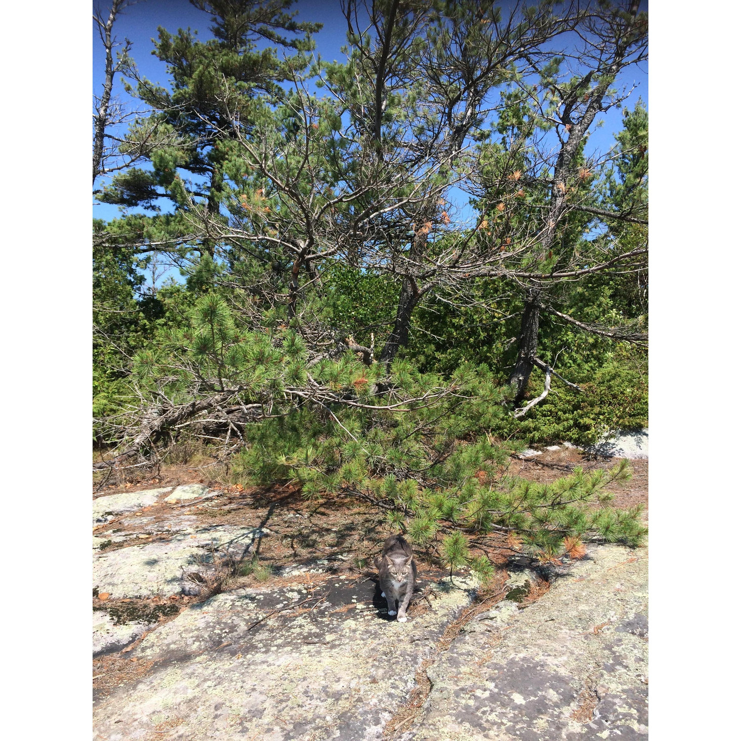 Chai exploring south rock on Rainbow Island - free and blissed out like the rest of us