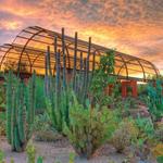 Desert Botanical Gardens