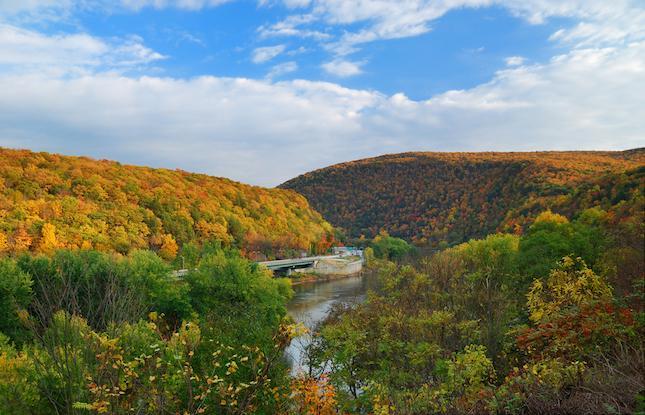 The Wedding Website of Lindsay Fuller and Christopher Osnato