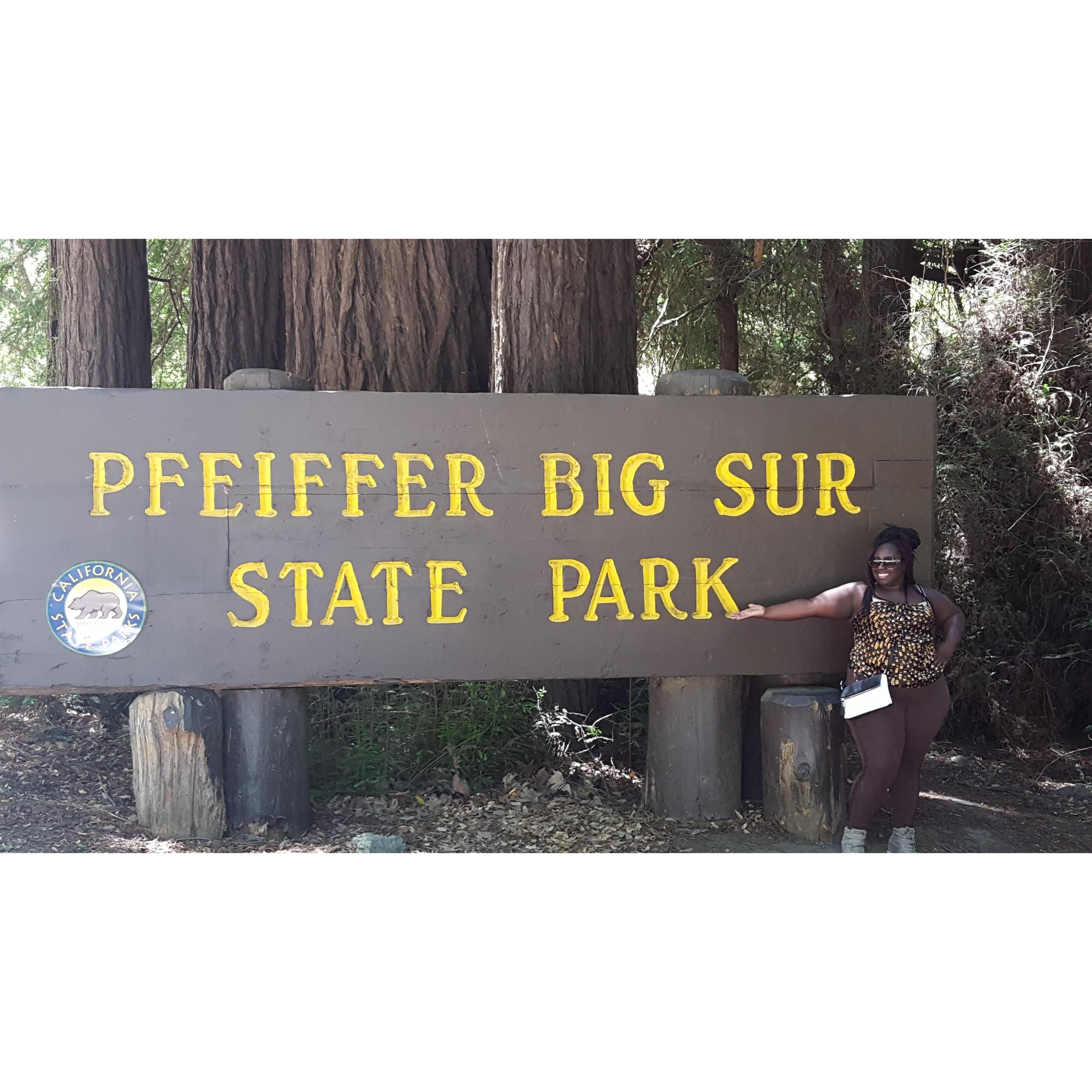 We didn't really hike here, Michelle wasn't wearing the right shoes.  lol