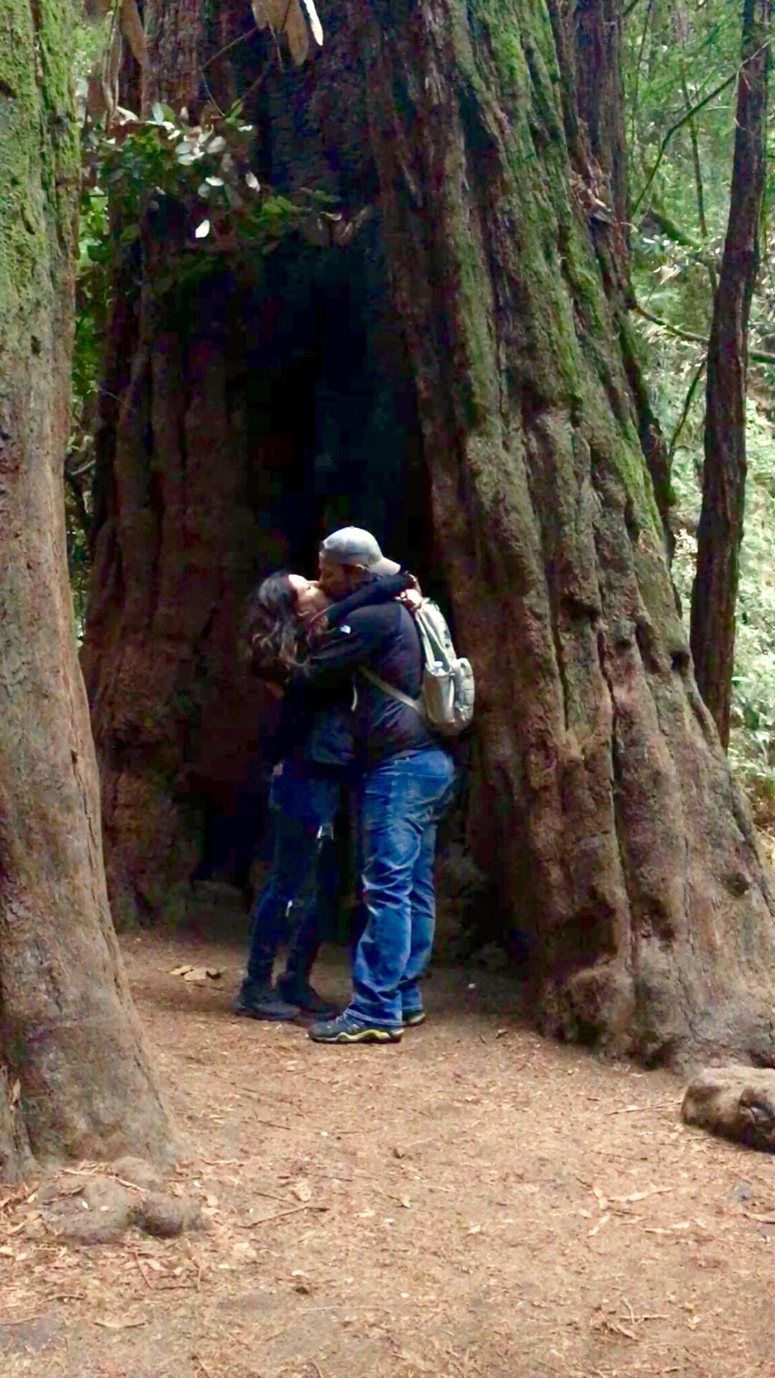 Muir Woods, CA