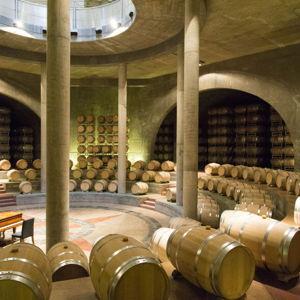 Wine "Cellar" Starter Fund