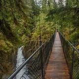Drift Creek Falls