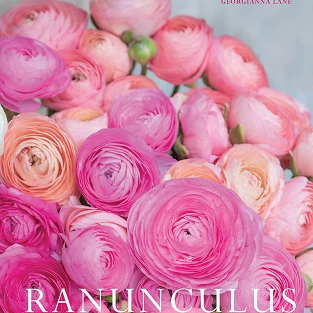 Ranunculus: Beautiful Varieties for Home and Garden