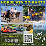 Carabalí Rainforest Adventure Park