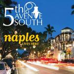 5th Avenue South
