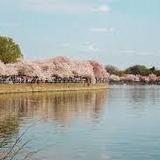 Tidal Basin