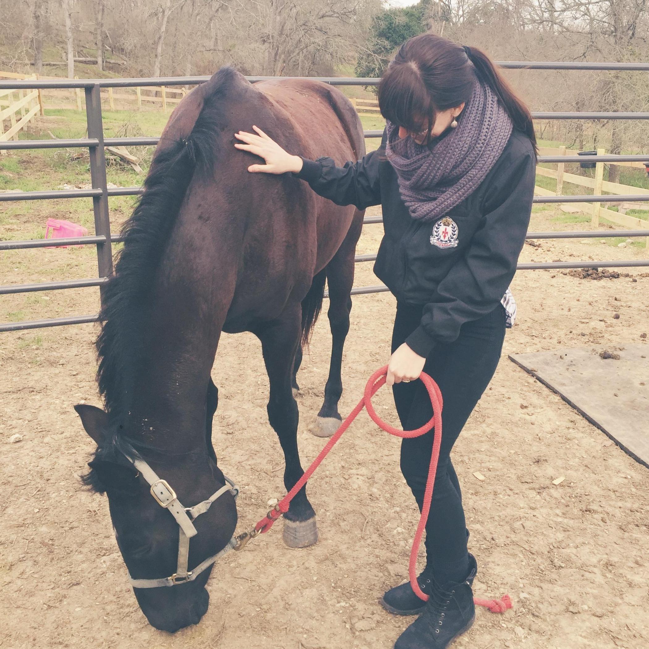 First time horseback riding together!